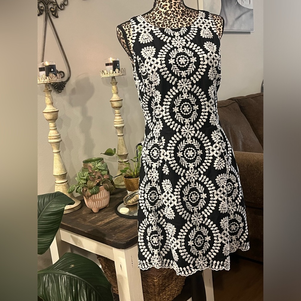 Form Fitting Embroidered Dress